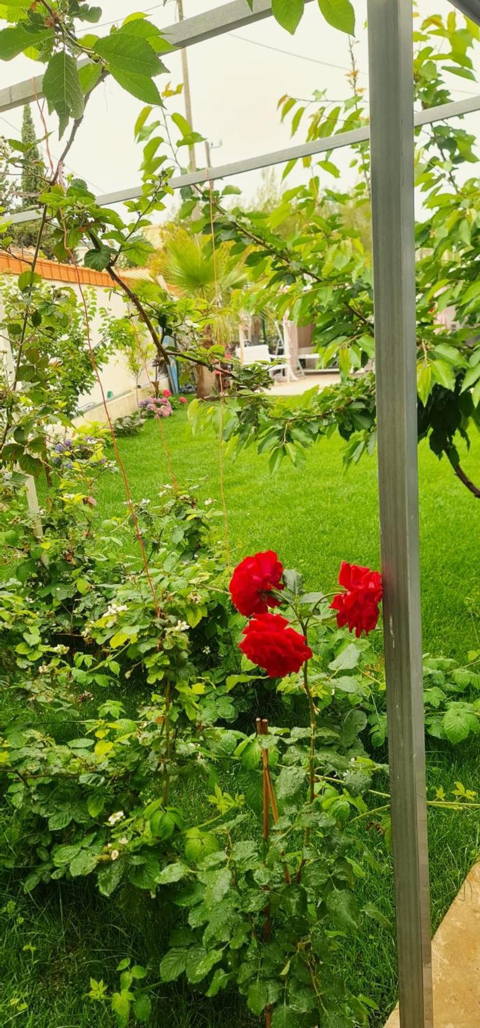 3 Chambres, Refait A Neuf, Piscine, Proche Et Gare Cagnes-sur-Mer